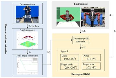 Motion planning framework based on dual-agent DDPG method for dual-arm robots guided by human joint angle constraints